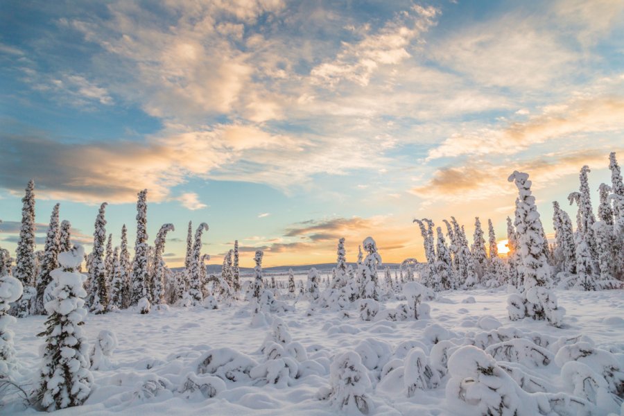 Paysage lapon à Gällivare. Mats Lindberg - iStockphoto.com