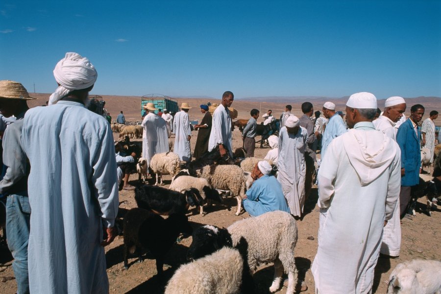 Marché de Zagora. Author's Image