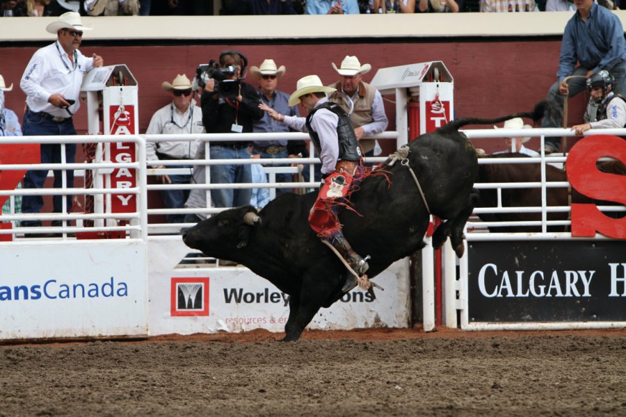 Stampede de Calgary. Stéphan SZEREMETA