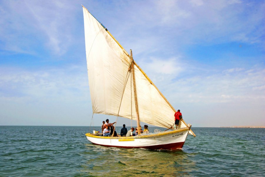 Parc national du Banc d'Arguin. Eric Valenne geostory - Shutterstock.com