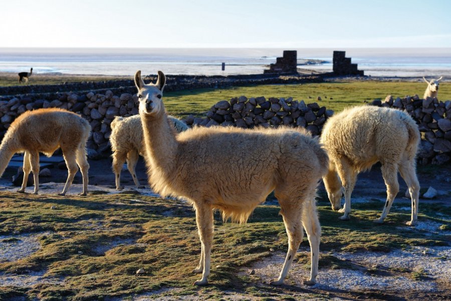 Salar de Uyuni. Patrice ALCARAS