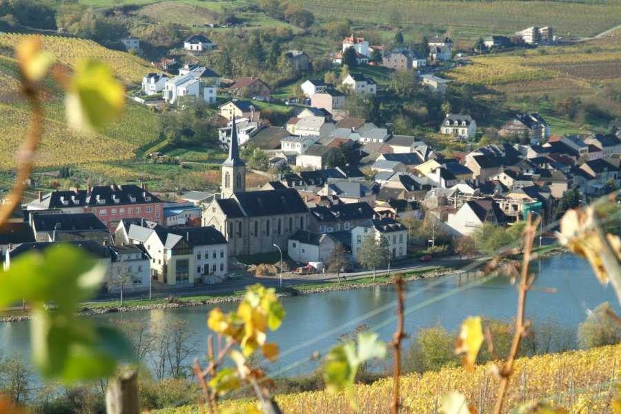 Village de Machtum. Carlo RINNEN / ORT Moselle Luxembourgeoise