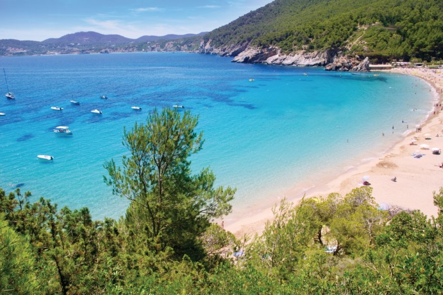 Plage de Cala de Sant Vicent. LUNAMARINA - iStockphoto