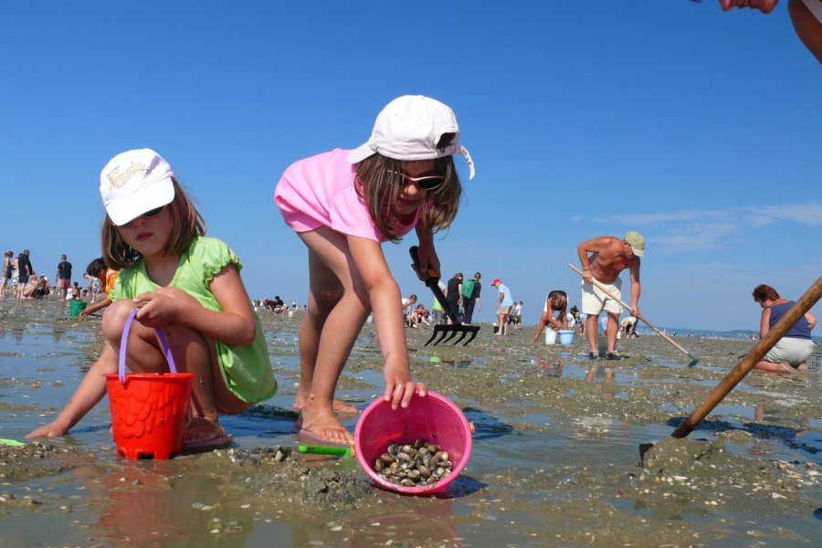 A la pêche aux coques sur la plage de Houlgate. www.calvados-tourisme.com