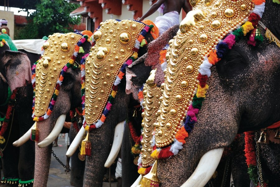 POORAM est la fête la plus importante et la plus colorée organisée au KERALA PATRICE ALCARAS