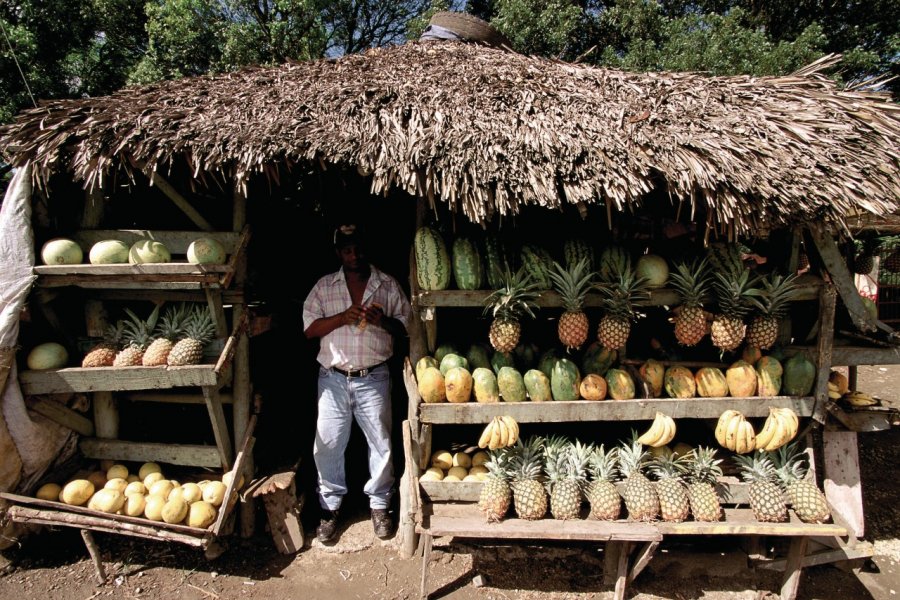 Marchand de fruits à Santiago. Author's Image