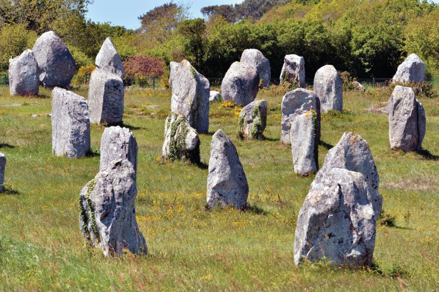 Les alignements de Carnac. Musat - iStockphoto