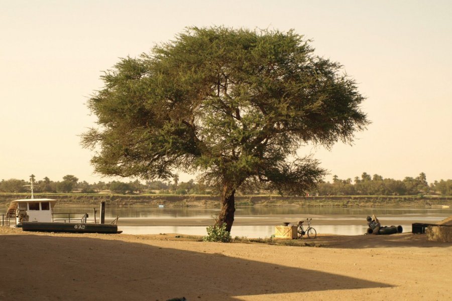 Nil près d'Abri. Marc GOUTALIER
