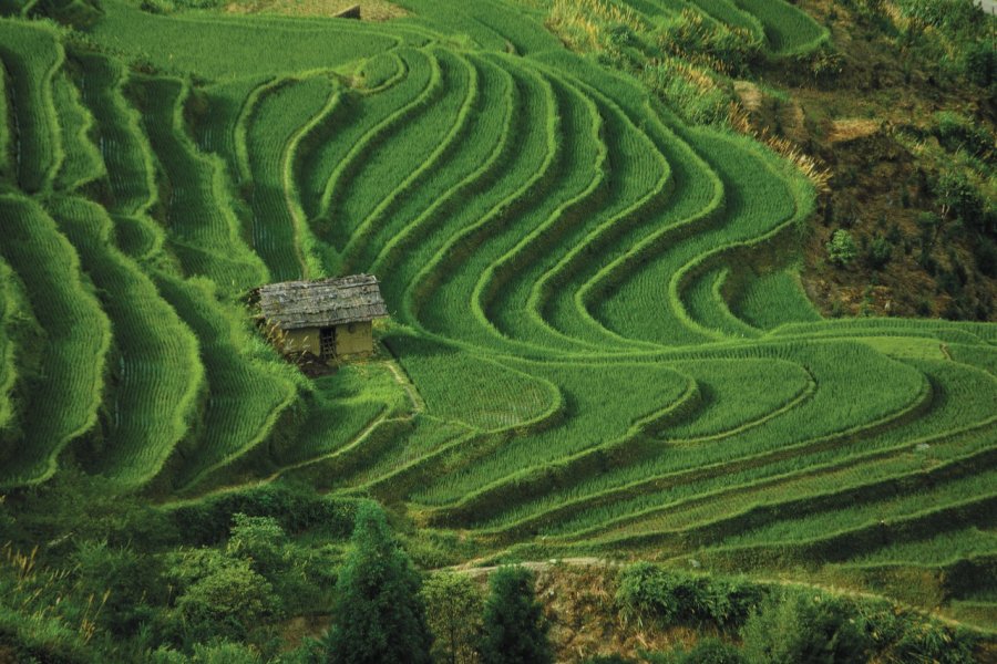 Champs en terrasse du Yunnan. (© China Stock photos - Iconotec))