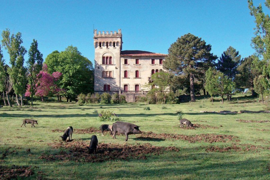 Le château de Quenza XAVIER BONNIN