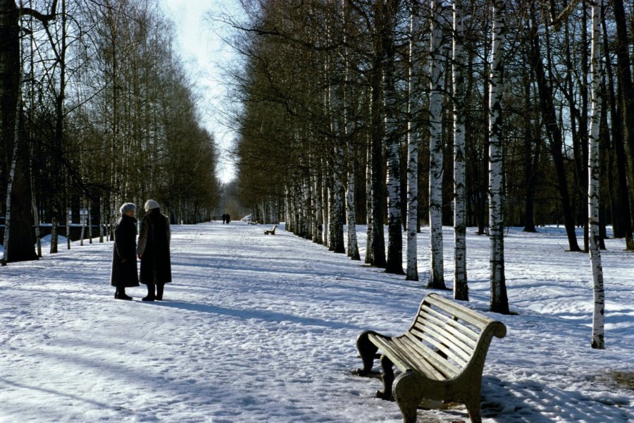 Jardin du palais Catherine. Author's Image