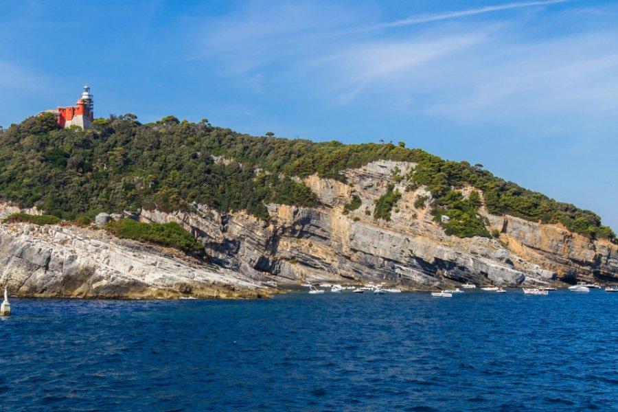 Ile de Tino. acasali - Shutterstock.com