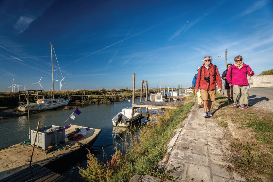 Balade dans le marais breton-vendéen. Stéphane Grossin