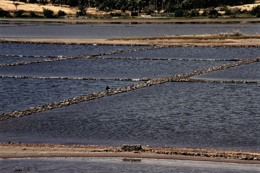 Grande Saline et ses anciennes salines exploitées par les Saint-Barths. Author's Image