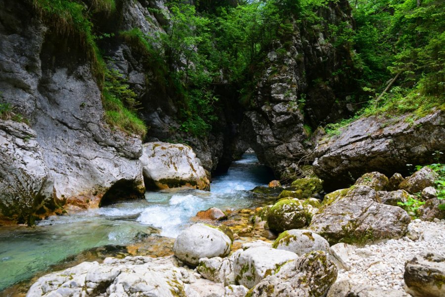 Rivière Kamniska Bistrica. Matic Stojs - Shutterstock.com