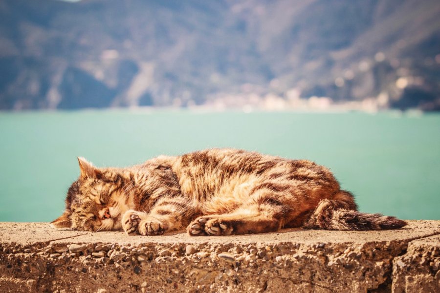 Corniglia. Italiansight - iStockphoto