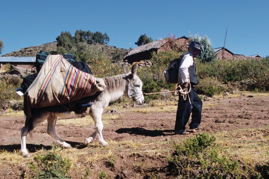 Paysan à Llachon. Author's Image