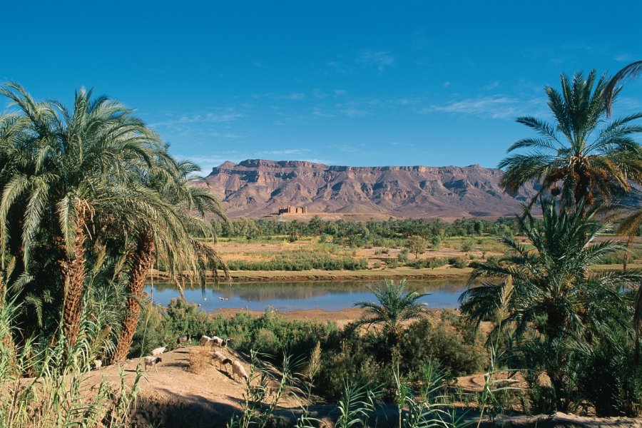 Ksar de Tamnougalte. Author's Image