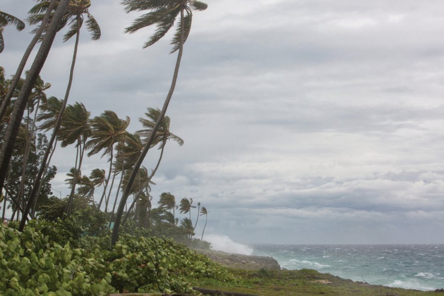 Passage d'un ouragan. Anatoly Kireev - iStockphoto.com
