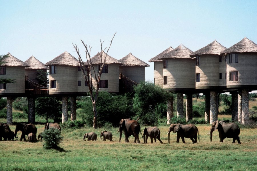 Salt Lick Lodge Kenya Tourist Board