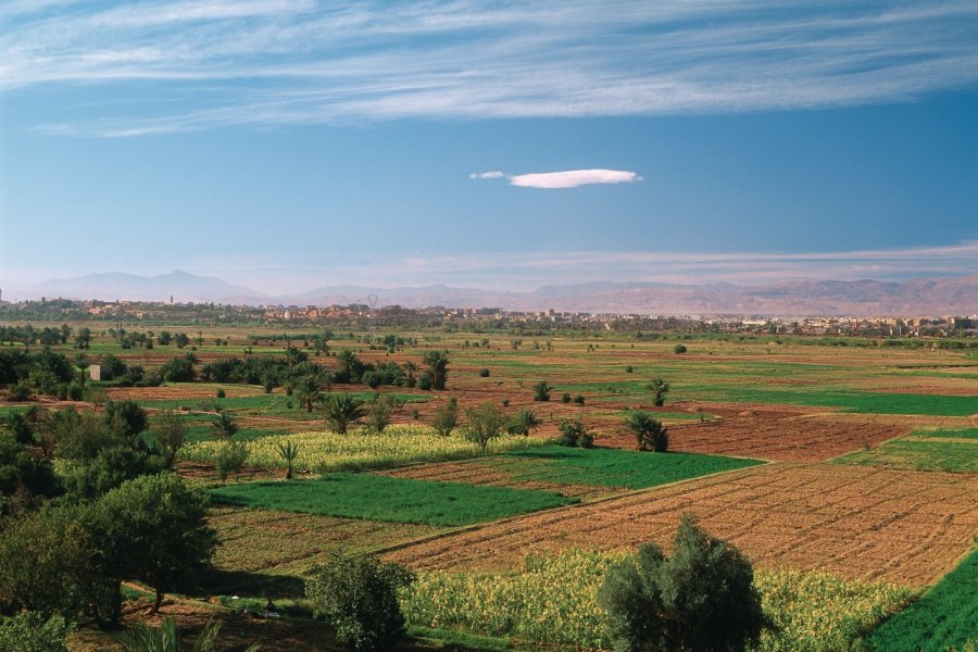 Vue sur Ouarzazate. Author's Image
