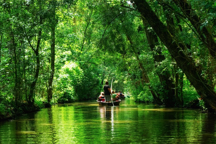 Parc naturel régional du Marais poitevin. bensliman hassan - Shutterstock.com