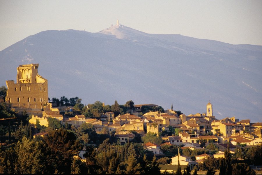 Châteauneuf-du-Pape VINCENT FORMICA