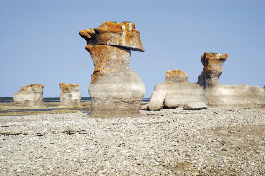 Monolithes à la Réserve de parc national de l'Archipel-de-Mingan. FotoFlow - iStockphoto.com