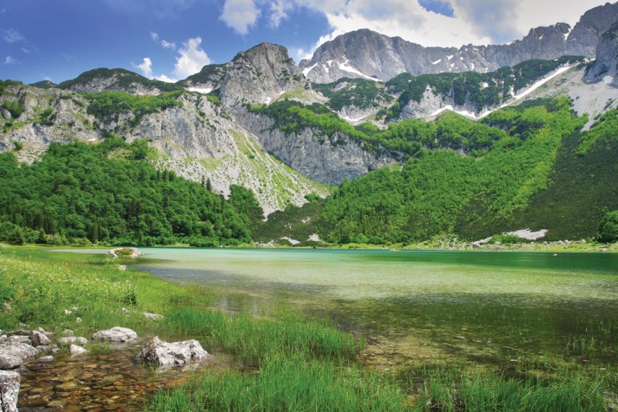 Le parc national de Sutjeska. Markovic - iStockphoto