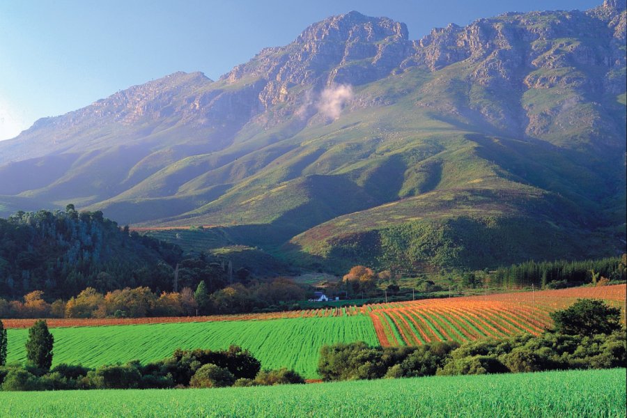 Vignes au pied du Simonsberg South African Tourism