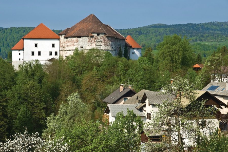 Château de Turjak. DavorLovincic - iStockphoto.com