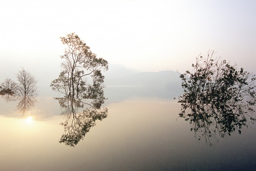 Sun Moon Lake Tao Gan - Iconotec
