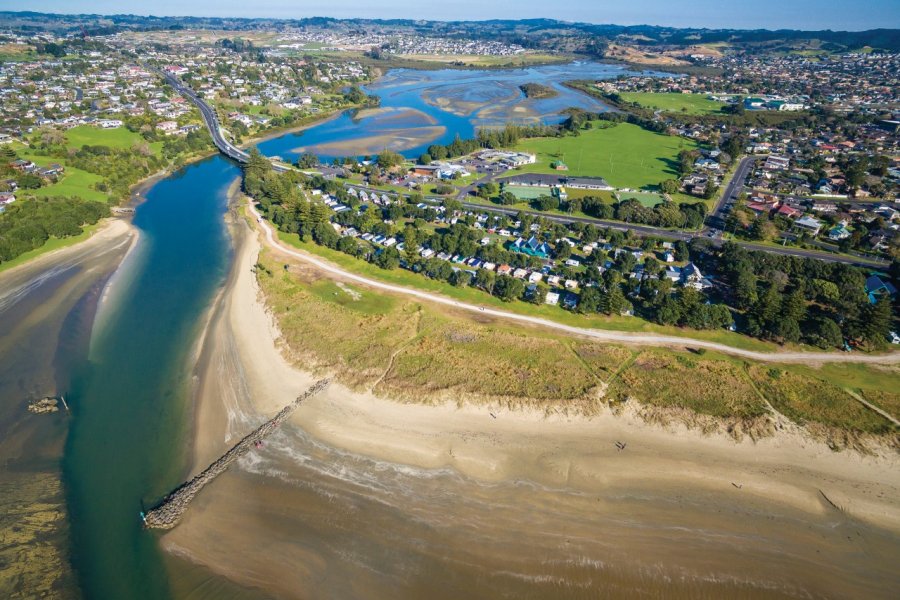 Orewa. denizunlusu - iStockphoto