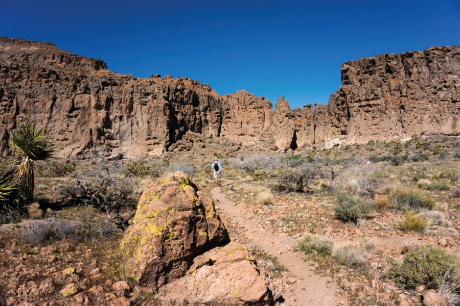 A la découverte du Mojave. Lisay - iStockphoto