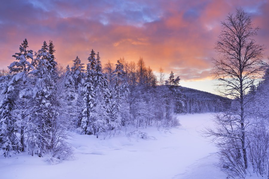 Paysage de Levi. Sara Winter - Shutterstock.com