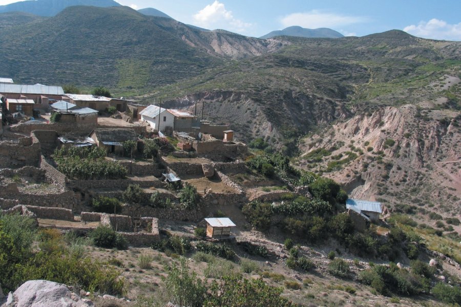 Village dans la vallée d'Azapa Arnaud BONNEFOY