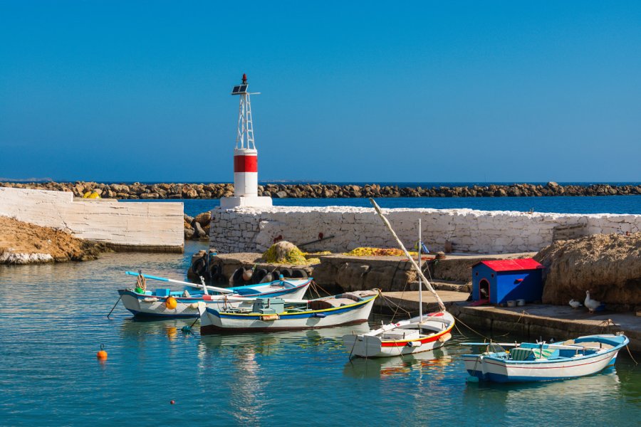 Le petit port de Fri. Giovanni Rinaldi - Shutterstock.com