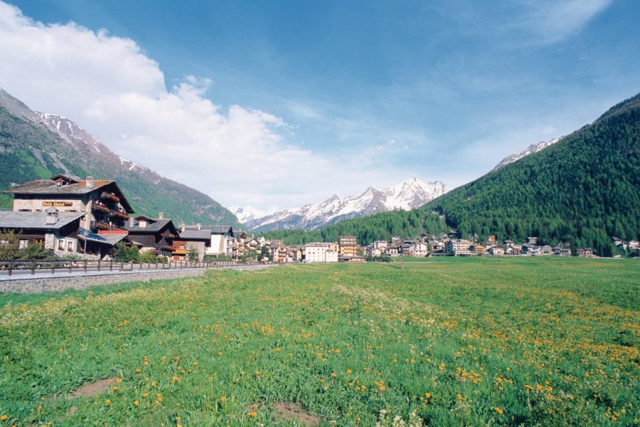 Plateau de Cogne et vue du Gran Paradiso. Author's Image