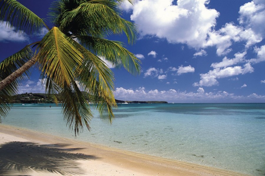 Grand-Case, une plage paradisiaque. Author's Image