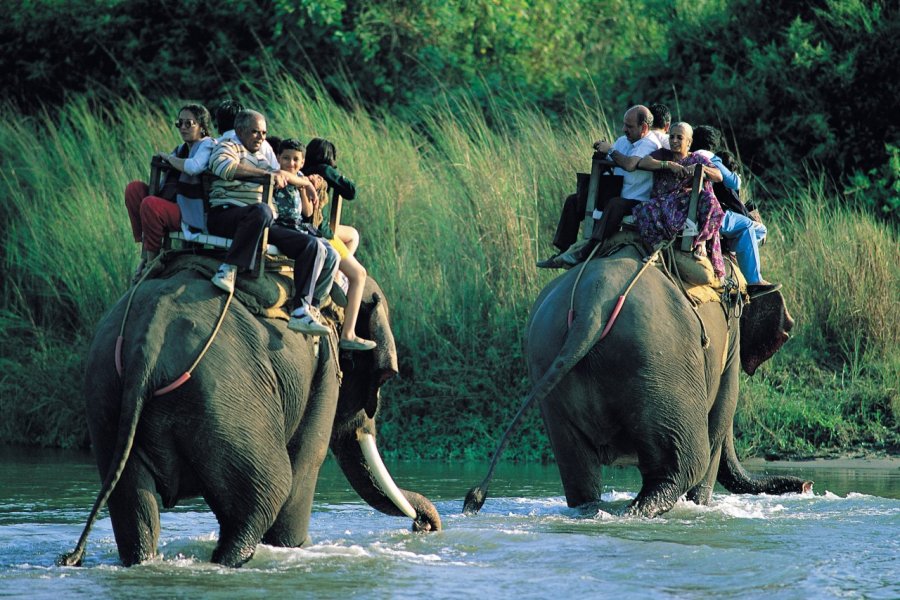 Parc national de Chitwan où l'on se promene à dos d'éléphant. Hugo Canabi - Iconotec