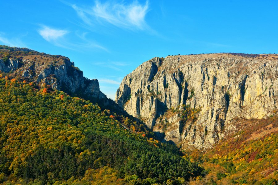 Gorges de Turda. Sebastian_Photography - shutterstock.com