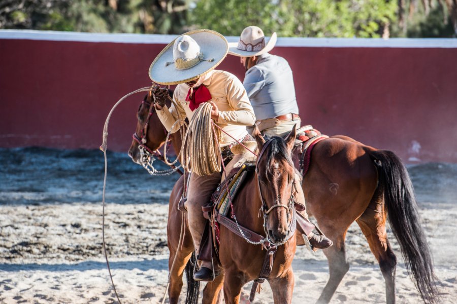 Rodéo mexicain. Paco Forriol - Shutterstock.com