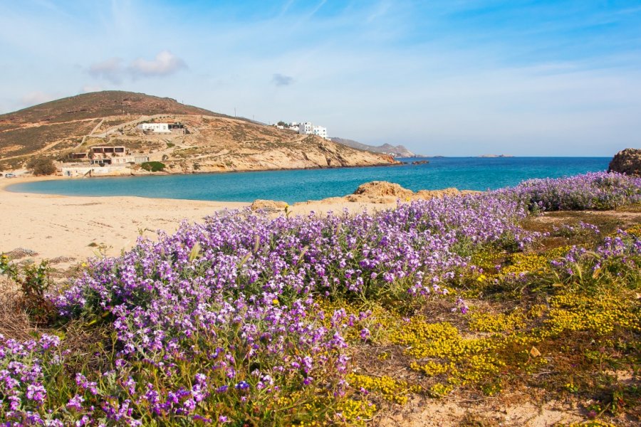 Sur la plage de Ftelia. Natalia Dobryanskaya - Shutterstock.com