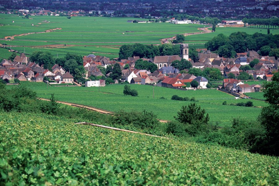 Vue générale de Pommard PHOVOIR