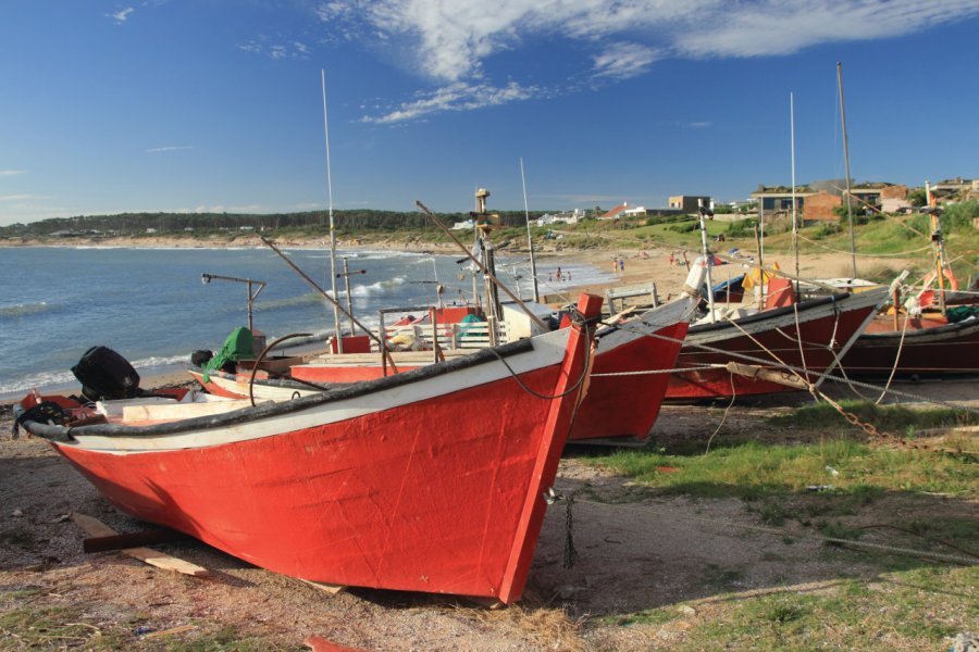 José Ignacio. Alejo Vazquez