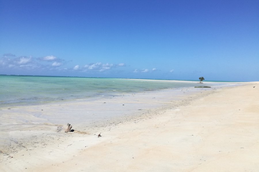 Plage de Murrebe, Pemba. Elisa Vallon