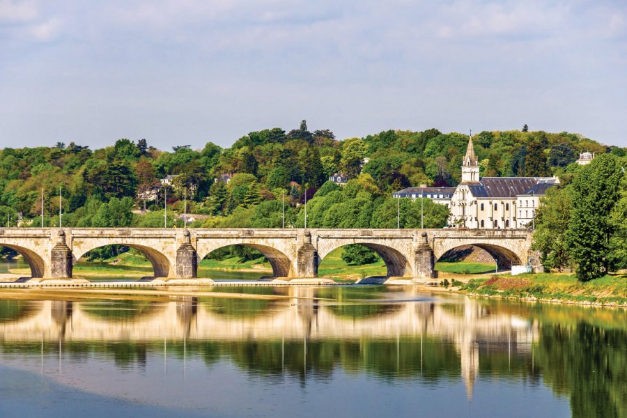 La ville de Tours sur les bords de la Loire. (© Leonid Andronov))