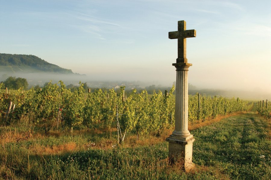 Croix de chemin et banc de brume dans le vignoble toulois, à Bruley Olivier FRIMAT