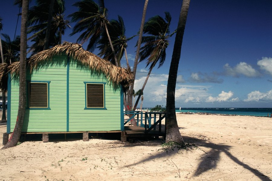 Playa Bavaro, une des belles plages de la côte des cocotiers. Author's Image