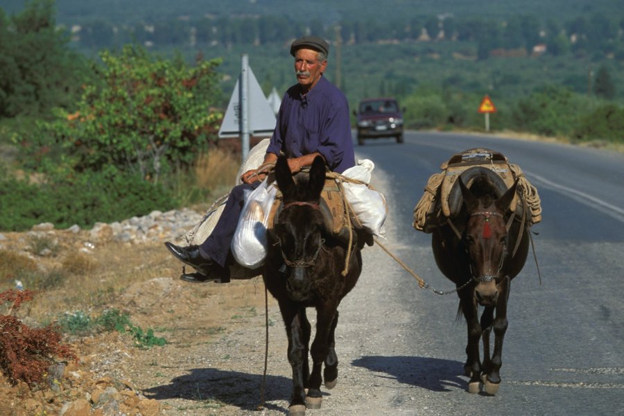 Rencontre sur la route de Nauplie à Sparte. Author's Image